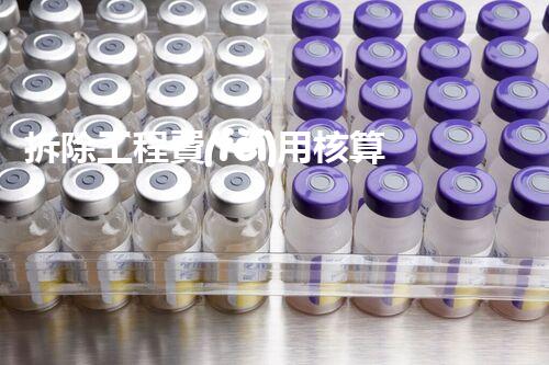 拆除工程費(fèi)用核算：精準(zhǔn)預(yù)算，保障利潤(rùn)